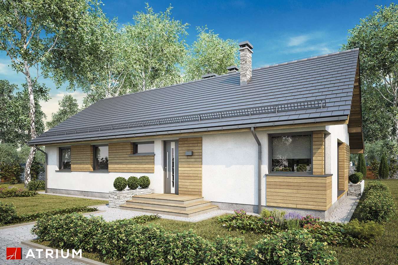 Projekty domów - Projekt domu parterowego AURORA MAXI II SZ - wizualizacja 2